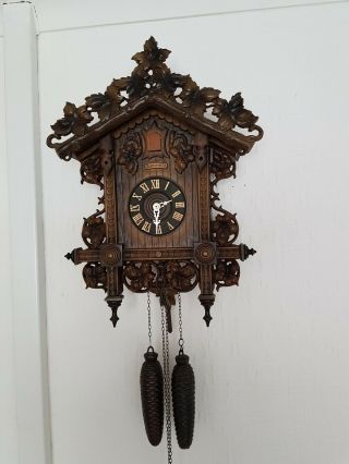 Stunning 8 Day Black Forest Cuckoo Clock / Fully Servised Very
