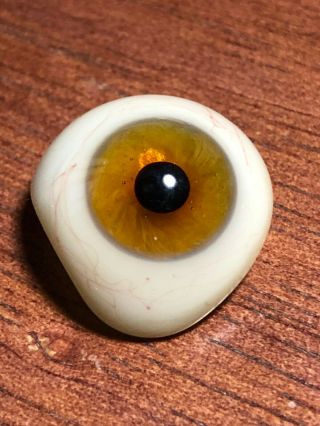 Light Brown Antique Prosthetic Human Glass Eye Medical Doctor