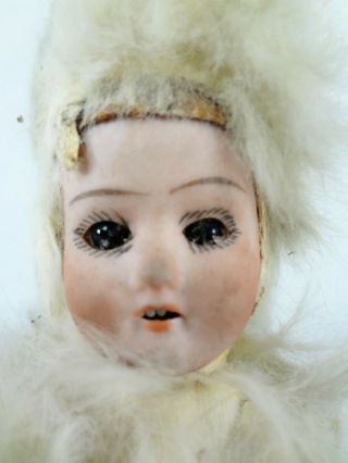 C.  Eichhorn & Sohn (CE&S) Fur Antique Bisque Doll - Antique German Doll 12