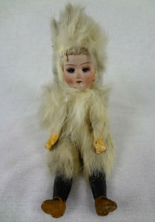 C.  Eichhorn & Sohn (ce&s) Fur Antique Bisque Doll - Antique German Doll
