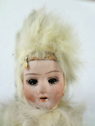 C.  Eichhorn & Sohn (CE&S) Fur Antique Bisque Doll - Antique German Doll 2