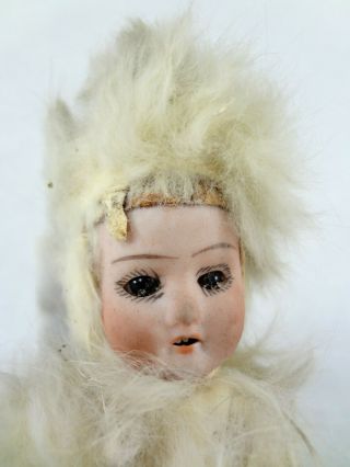 C.  Eichhorn & Sohn (CE&S) Fur Antique Bisque Doll - Antique German Doll 3