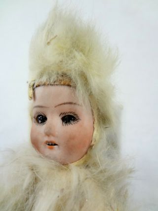 C.  Eichhorn & Sohn (CE&S) Fur Antique Bisque Doll - Antique German Doll 4