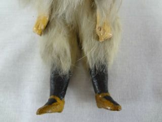 C.  Eichhorn & Sohn (CE&S) Fur Antique Bisque Doll - Antique German Doll 7