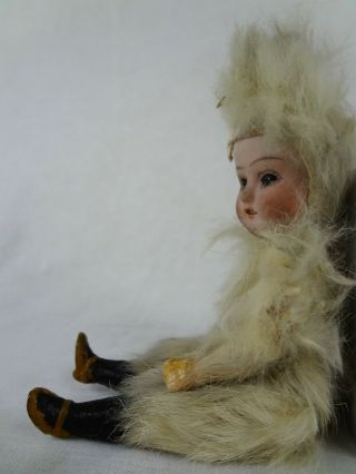C.  Eichhorn & Sohn (CE&S) Fur Antique Bisque Doll - Antique German Doll 9