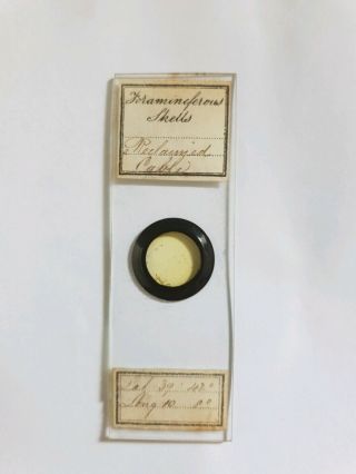 FINE GROUP OF 6 VICTORIAN MICROSCOPE SLIDES 