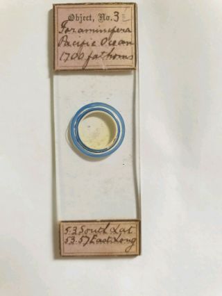 FINE GROUP OF 6 VICTORIAN MICROSCOPE SLIDES 