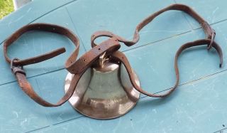 Antique Brass Cow Bell With Clapper & Leather Collar