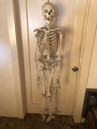 Authentic Antique Medical Teaching Skeleton