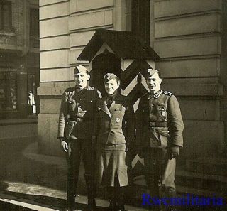 Rare: Female Wehrmacht Helferin Blitzmädel Girl W/ Soldier Friends