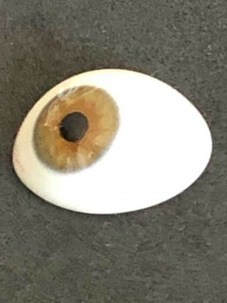 Green Brown Antique Prosthetic Human Glass Eye