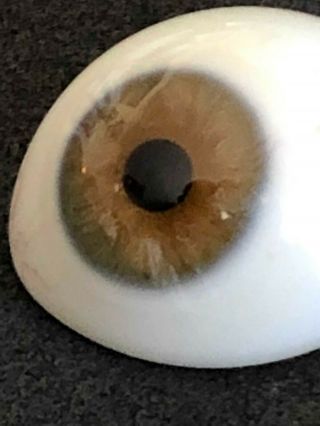 Green Brown Antique Prosthetic Human Glass Eye 3