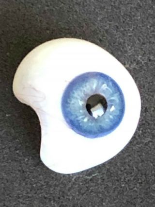 Blue Antique Prosthetic Human Glass Eye Medical Doctor