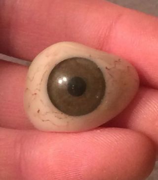 Vintage / Antique Prosthetic Glass Or Acrylic Human Eye Brown El - F8