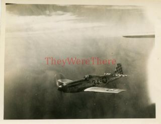 Wwii Photo - 325th Fighter Group - P 51 Fighter Plane Nose Art - Eileen Honey
