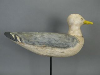 CA 1940 ' s LARGE MAINE STICK UP WORKIN GULL CONFIDENCE DECOY 100 ORIG & EXCLT 3