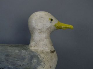 CA 1940 ' s LARGE MAINE STICK UP WORKIN GULL CONFIDENCE DECOY 100 ORIG & EXCLT 4