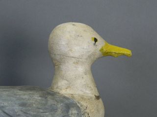 CA 1940 ' s LARGE MAINE STICK UP WORKIN GULL CONFIDENCE DECOY 100 ORIG & EXCLT 6