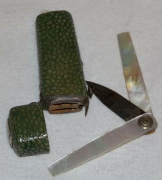 Antique George Iii Tapered Rounded Rectangular Shagreen Lancet Case.