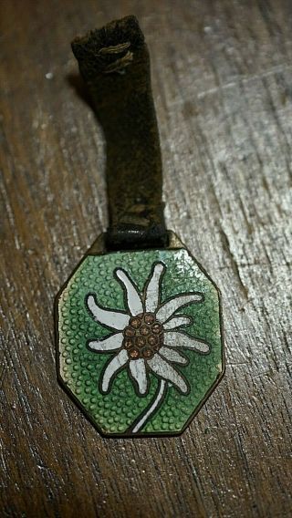 Antique German Gebirgsjager Mountain Troops Brass Enamel Watch Fob Edelweiss