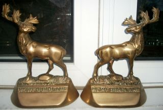 9 " Art Deco Era Pair Figural Majestic Stag Moose Elk Newfoundland Bookends 1920