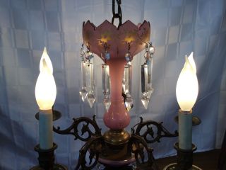 Antique French Victorian Bronze Lustre Lamp Chandelier Pink Opaline Crystal 3