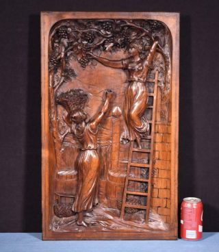 French Antique Walnut Wood Panel Of Vineyard Harvest Scene With Women