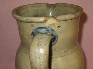 Antique 19th C Stoneware Decorated Peter Herrmann Baltimore Maryland Pitcher 12