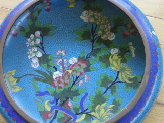 LARGE ANTIQUE CHINESE CLOISONNE BOWL WITH FLOWERS AND WOODEN STAND MARKED 5