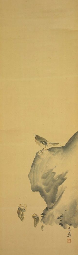 掛軸1967 Japanese Hanging Scroll : Maekawa Bunrei " Bush Warbler And Adonis " @e286