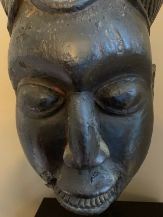 VTG African Tribal Mask On Stand - Bamum? Luluwa? Suku? AS - IS Repairs Losses 8