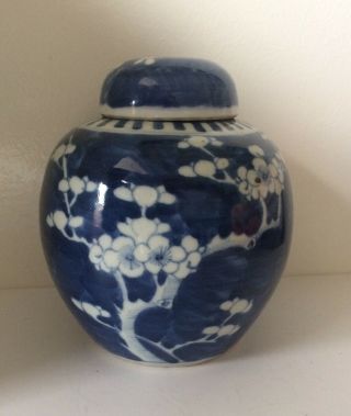 Antique Chinese Porcelain Blossom Prunes Design Ginger Jar