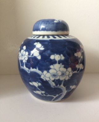 Antique Chinese Porcelain Blossom Prunes Design Ginger Jar 3