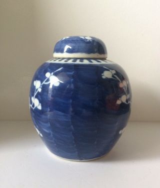 Antique Chinese Porcelain Blossom Prunes Design Ginger Jar 4