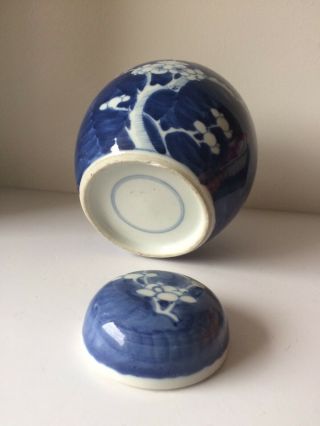 Antique Chinese Porcelain Blossom Prunes Design Ginger Jar 7