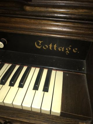 Antique Pump Organ 5