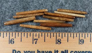 (10) Old Bone Hair Pipe Sioux Indian Beads Thin Tubes Fur Trade 1700 