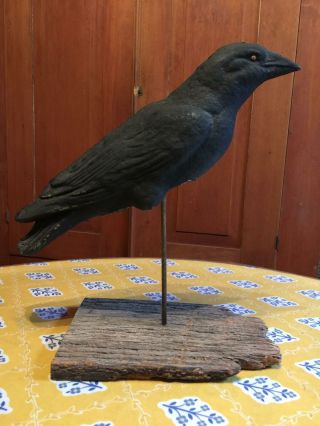 Vintage Halloween Paper Mache Pulp BLACK RAVEN/Crow DECOY w/base Primitive AAFA 2