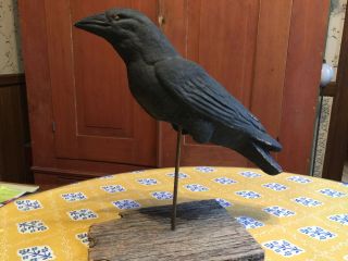 Vintage Halloween Paper Mache Pulp BLACK RAVEN/Crow DECOY w/base Primitive AAFA 4