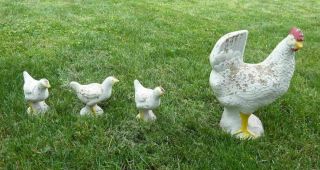 Adorable Vintage Bantam Hen & 3 Chicks Cement/concrete Garden Statues