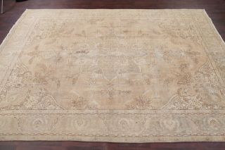 Antique Geometric Muted Oriental Area Rug Distressed Hand - Made Wool Carpet 10x13