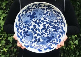 Huge Kangxi Chinese Antique Porcelain Blue And White Plate With Fruits 18th C.
