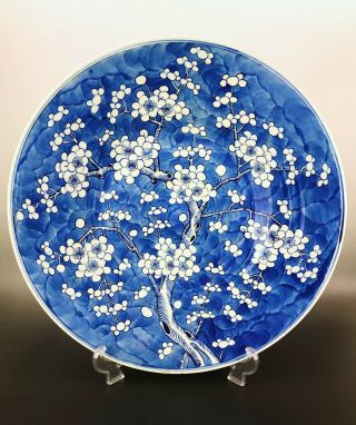 Huge 41cm Chinese Antique Porcelain Blue And White Prunes Plate 19th Century 3