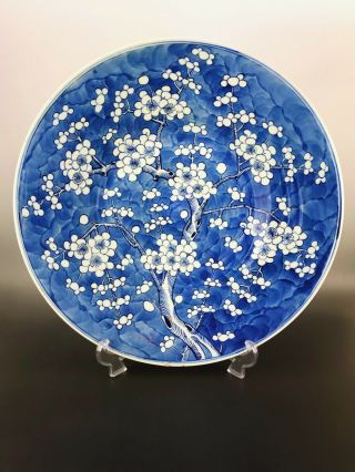 Huge 41cm Chinese Antique Porcelain Blue And White Prunes Plate 19th Century 4