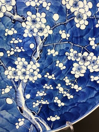 Huge 41cm Chinese Antique Porcelain Blue And White Prunes Plate 19th Century 6