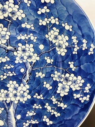 Huge 41cm Chinese Antique Porcelain Blue And White Prunes Plate 19th Century 7