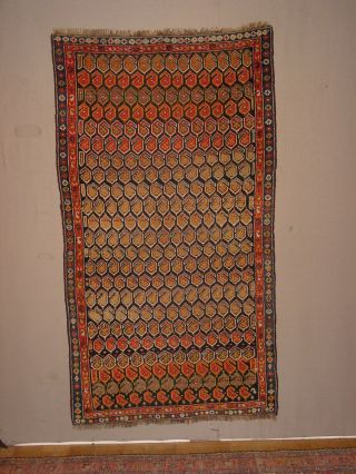 Wonderful Antique Kurdish Rug All Wool Hg