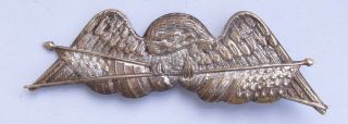Rare Civil War Eagle Pin -