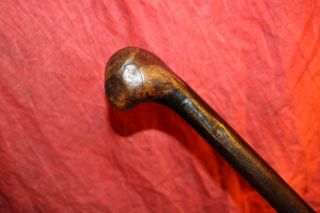 Fantastic Early Primitive Irish Blackthorn Shillelagh W/large Burl Knob