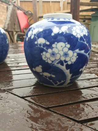 Lovely Chinese Blue & White Prunus Ginger Jar Vase (no Lid)